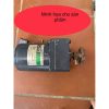 Mô tơ chế máy quay vịt, giảm tốc 220v -40w Nhật bãi