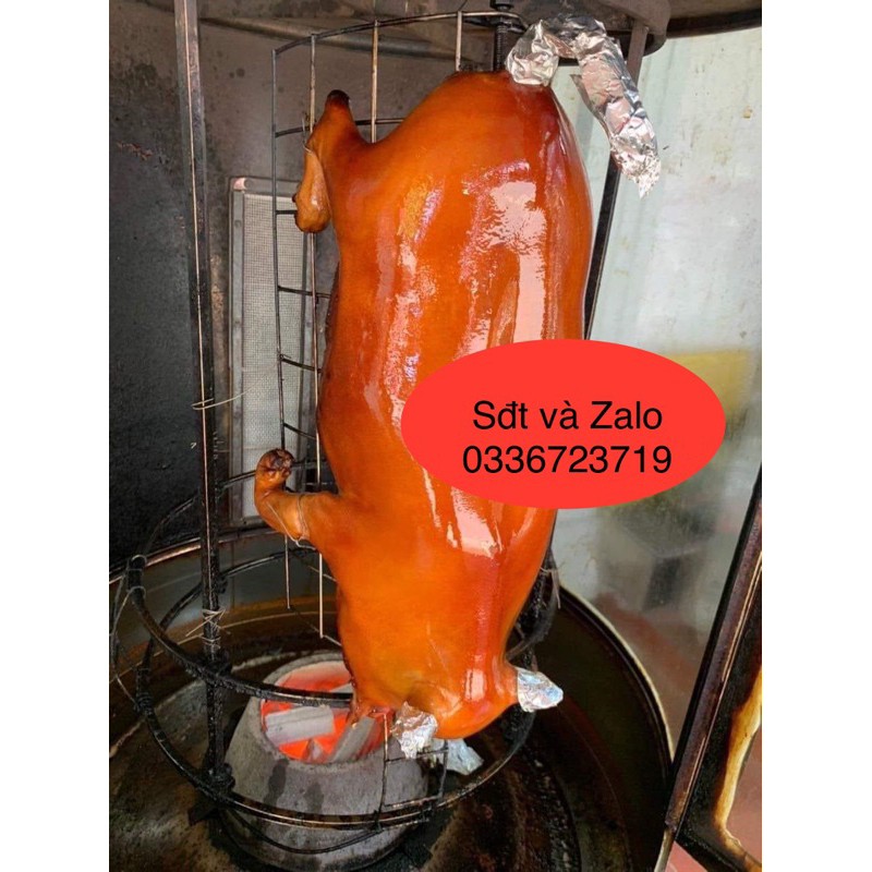 Vỉ nướng heo -lợn sữa- nướng lu quay tự động- inox cao cấp