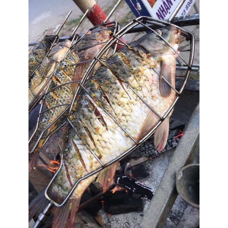 Vỉ nướng cá rô phi - Cho máy quay xích tự động